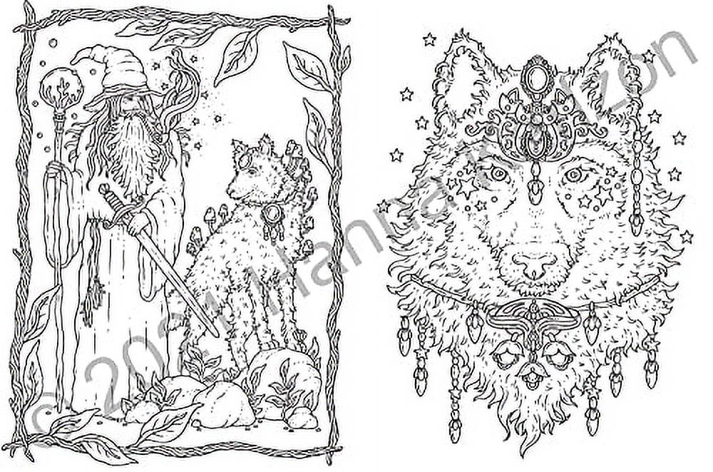 Tales from the Forest Kingdom Coloring Book [Book]